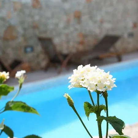 Apartment Quattrocolonne Santa Maria al Bagno